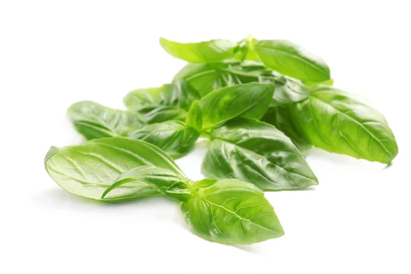 Fresh basil leaves — Stock Photo, Image