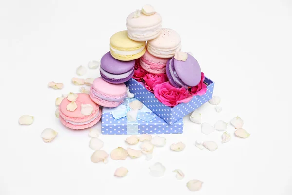 Macaroons and rose petals isolated — Stock Photo, Image