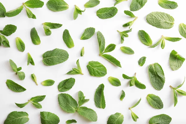 Fresh mint leaves — Stock Photo, Image