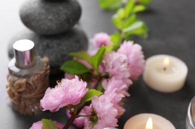 Güzel spa kompozisyonu 