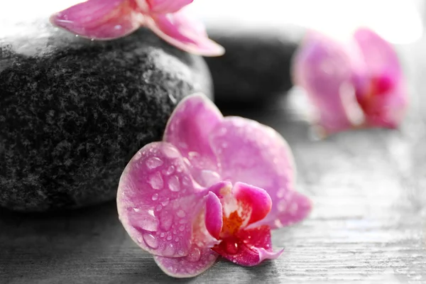 Spa taşlar ve orkide 
