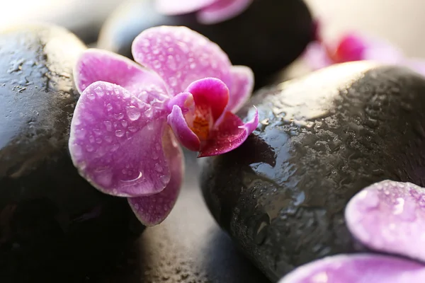 Spa stenen en orchideeën — Stockfoto