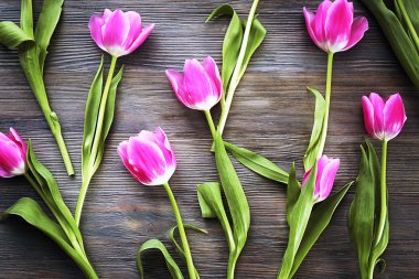 taze çiçekler ile kompozisyon 