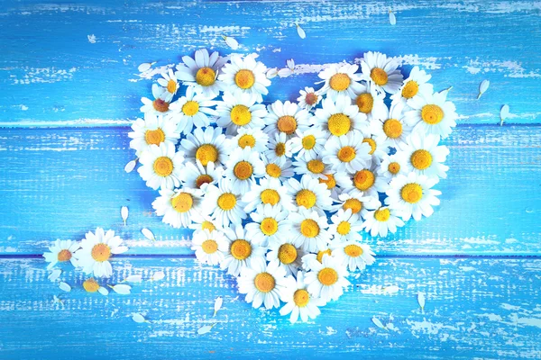 Chamomile in shape of heart — Stock Photo, Image