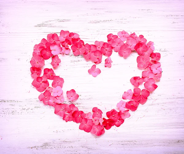 粉红色的花朵，在心的形状 — 图库照片