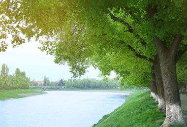 River Park, Uzhgorod