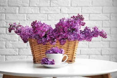 Mor Eflatun çiçekler   