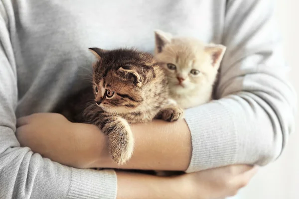 Frau hält kleine süße Kätzchen — Stockfoto