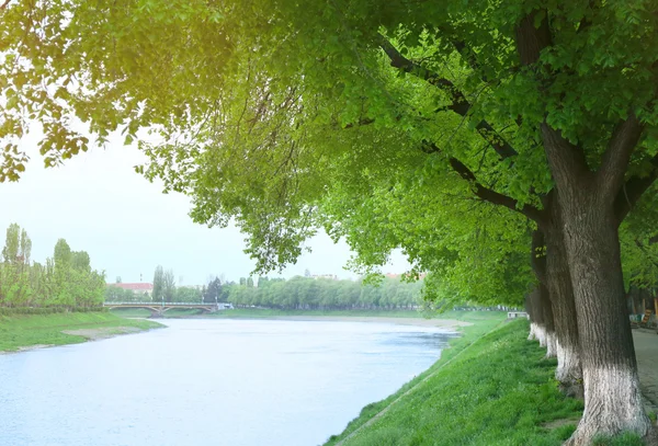 Rzeki w parku, Użhorod — Zdjęcie stockowe