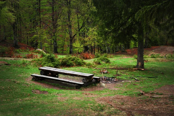 野生森林中的休息场所 — 图库照片