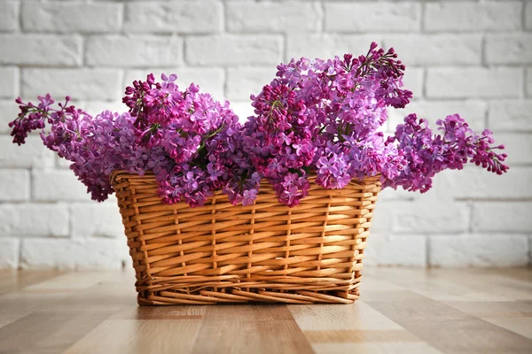 Fiori lilla viola — Foto Stock