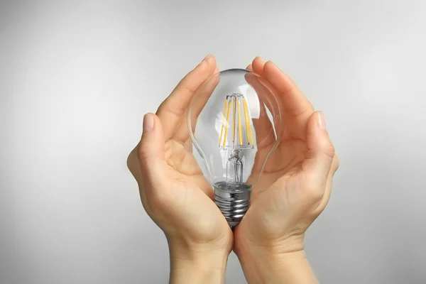 Woman hands holding bulb — Stock Photo, Image