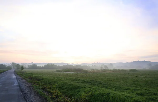 Mlhavé ráno v louce — Stock fotografie