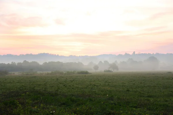 Mlhavé ráno v louce — Stock fotografie