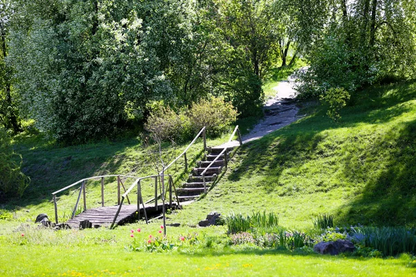 Ponte de madeira no jardim botânico — Fotografia de Stock