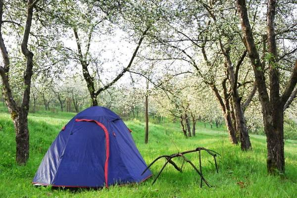 Tenda turistica nella foresta — Foto Stock