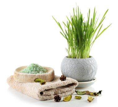 Güzel spa kompozisyonu 