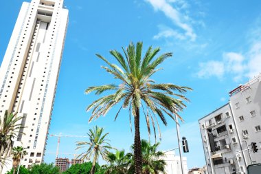 Avuç içi Kentsel şehir 