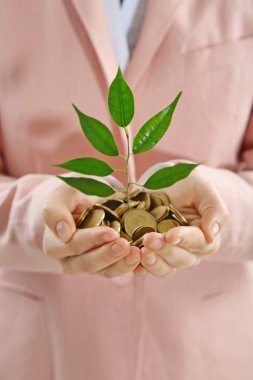 Fabrika holding eller