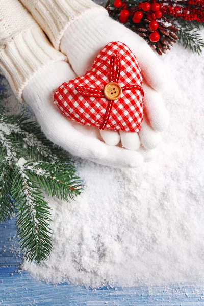 Female hands in mittens — Stock Photo, Image