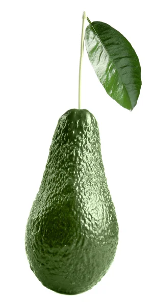 Fresh avocado isolated — Stock Photo, Image