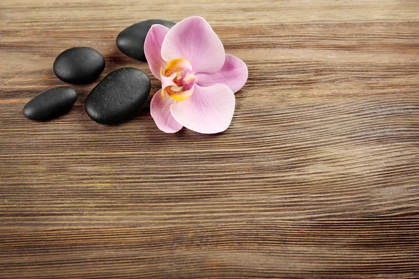 Piedras de spa y flor de orquídea —  Fotos de Stock