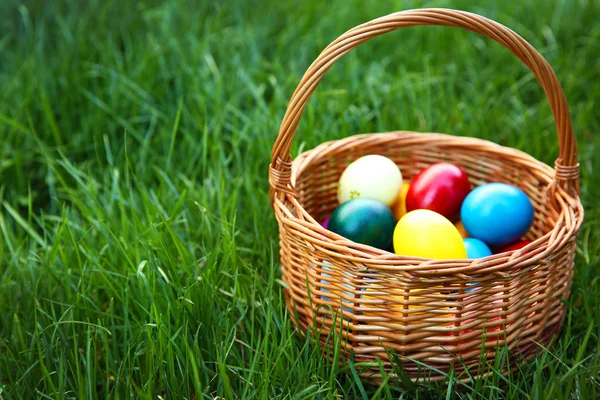 Renkli Paskalya yumurtaları sepetle — Stok fotoğraf