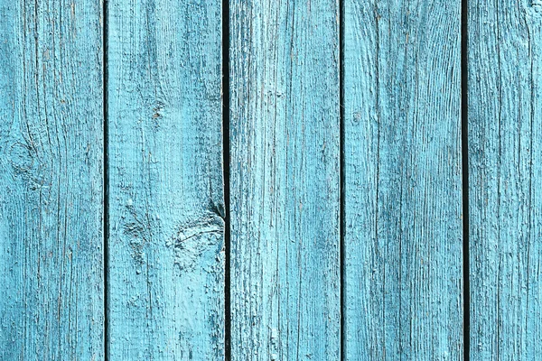 Textura da árvore de madeira — Fotografia de Stock