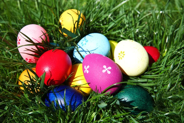 Coloured Easter eggs — Stock Photo, Image