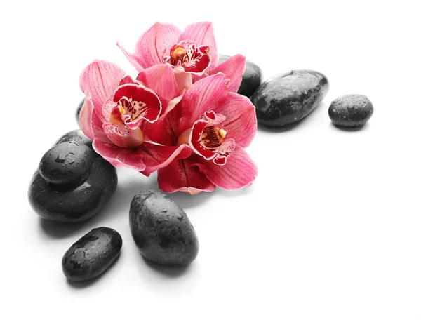 Piedras de spa y hermosas orquídeas rosadas —  Fotos de Stock