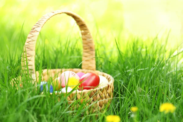 Cesta con huevos de Pascua de colores — Foto de Stock