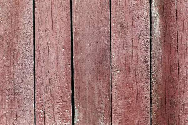 Textura da árvore de madeira — Fotografia de Stock