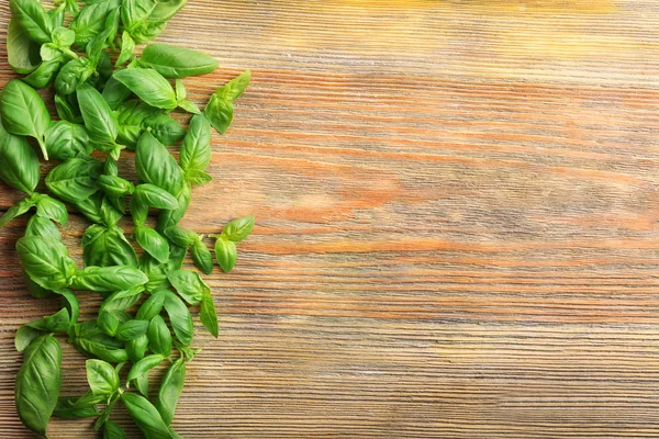 Fresh basil leaves — Stock Photo, Image