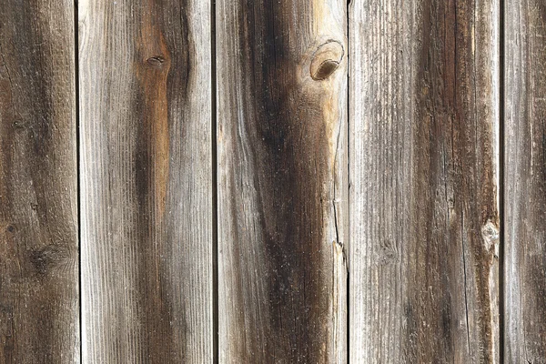 Wood tree texture — Stock Photo, Image