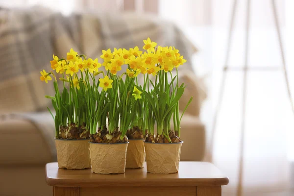 Belo narciso na mesa — Fotografia de Stock