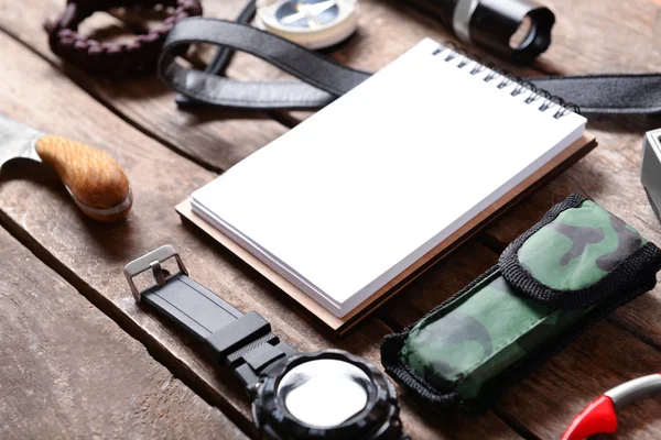 Conjunto de viajantes elegantes — Fotografia de Stock