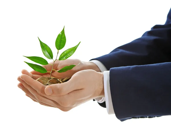 Hands holding plant sprouting — Stock Photo, Image