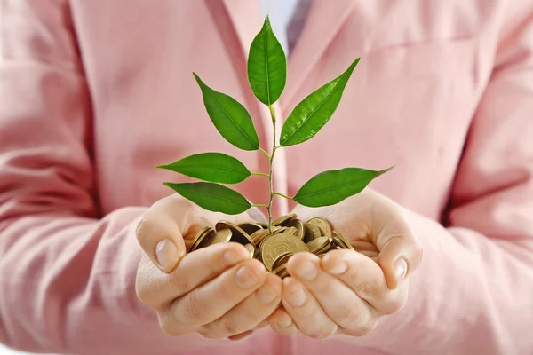 Mãos segurando a planta brotando — Fotografia de Stock