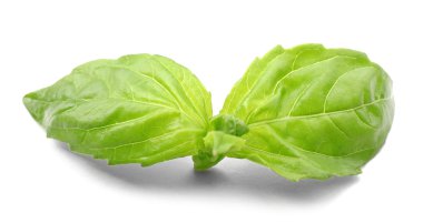 taze fesleğen yaprağı      