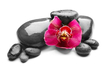 Spa taşlar ve kırmızı orkide