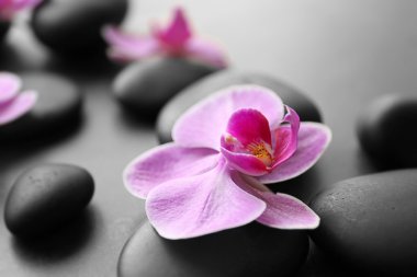 Spa taşlar ve orkide