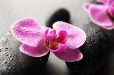 Spa taşlar ve orkide