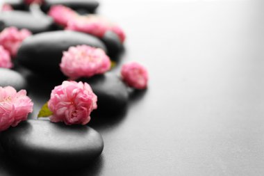 Spa taşlar ve pembe çiçekler   