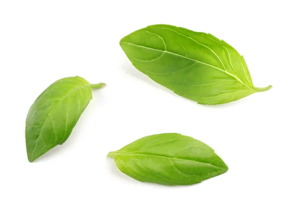 Fresh basil leaves — Stock Photo, Image