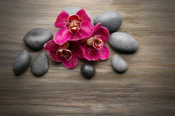 Камни и красная орхидея — стоковое фото