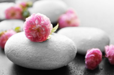 Spa taşlar ve pembe çiçekler   