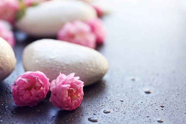 Piedras de spa y flores rosas — Foto de Stock