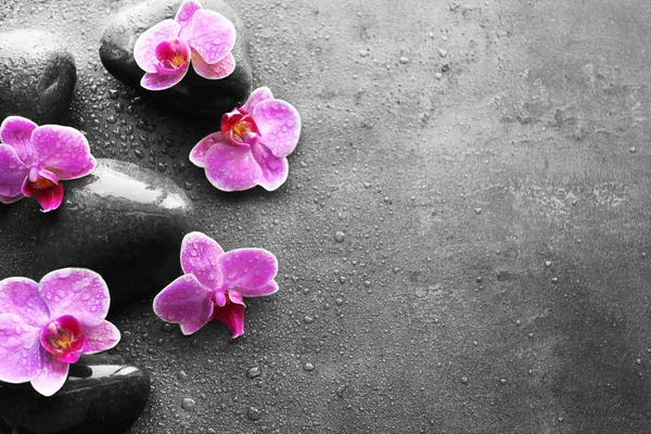 水疗中心的石头和兰花 — 图库照片