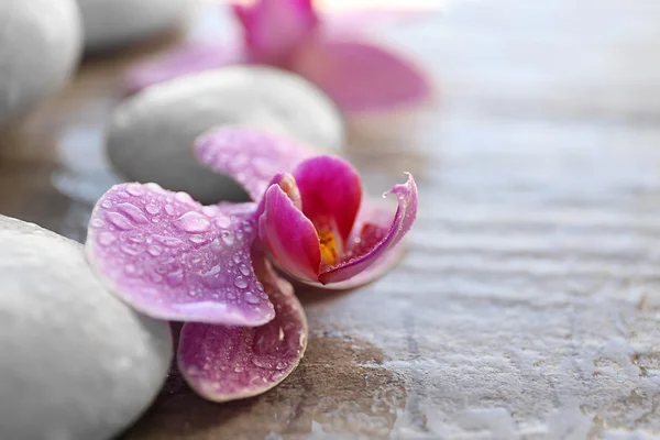 Spa stones and orchids — Stock Photo, Image