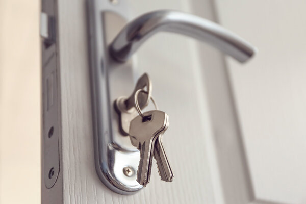 Металлическая дверная ручка
  